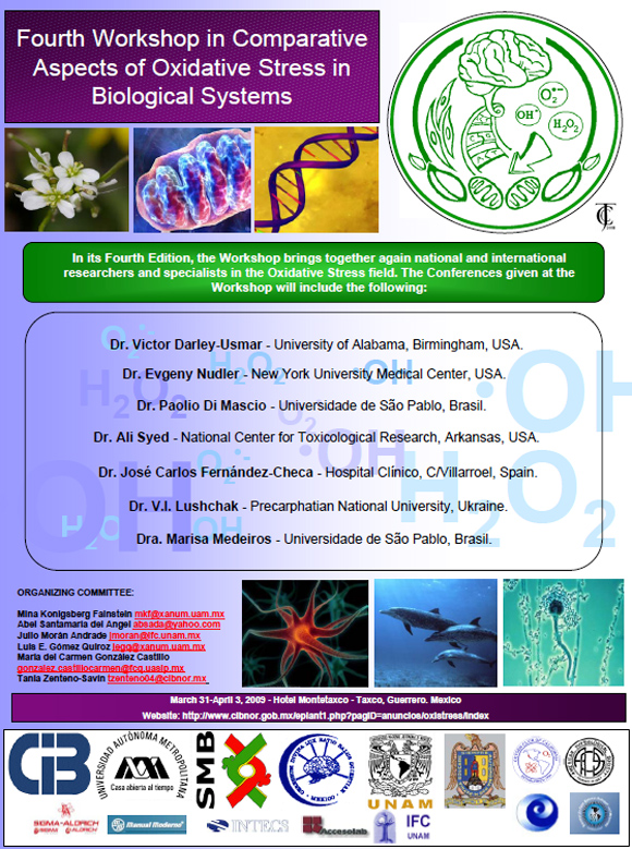 II Congreso de la Rama de Radicales Libres y estrés Oxidativo 4rd International Workshop on Comparative Aspects of Oxidative Stress in Biological Systems II Congreso de la Rama de Radicales Libres y estrés Oxidativo 4rd International Workshop on Comparative Aspects of Oxidative Stress in Biological Systems